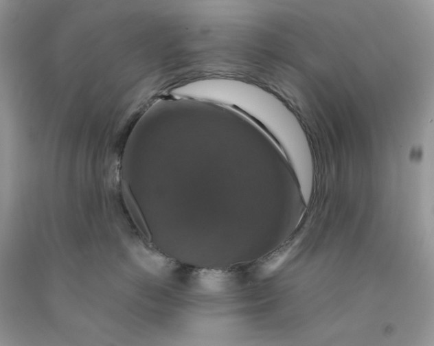 X0000091460766200709061756