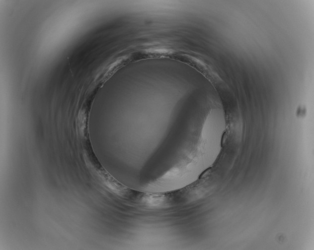 X0000091460767200709061756