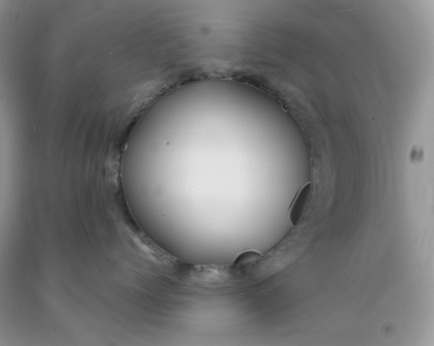 X0000091460768200709061756