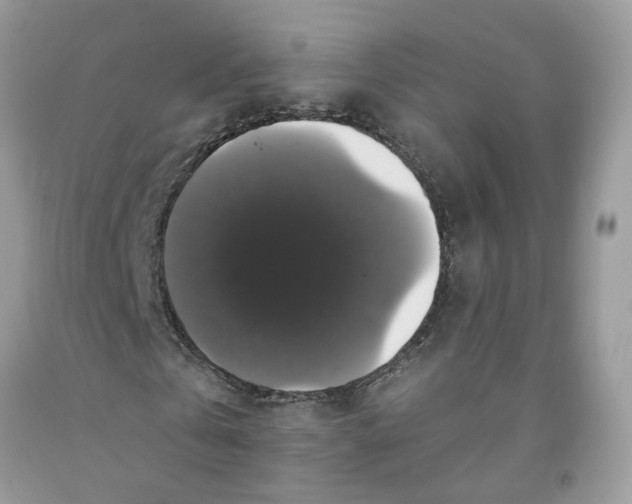 X0000091460769200709061756