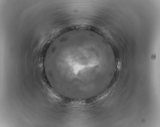 X0000091460771200709061756