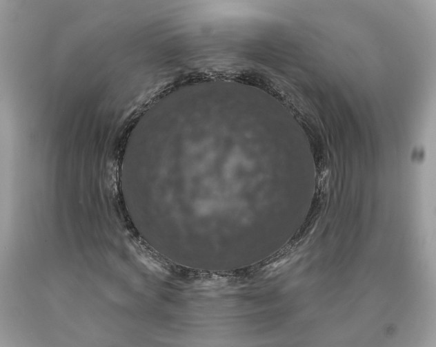 X0000091460772200709061756