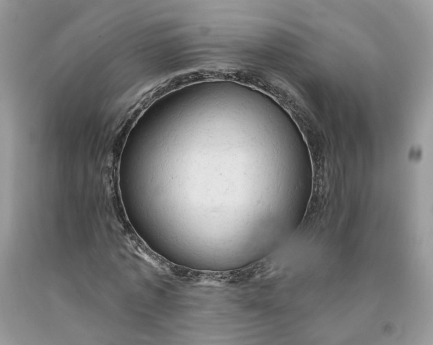 X0000091460773200709061756