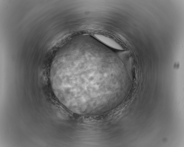 X0000091460774200709061756