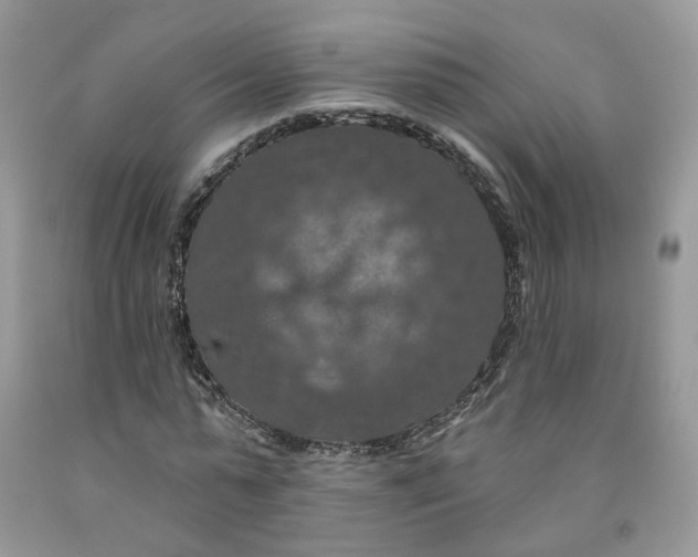 X0000091460775200709061756