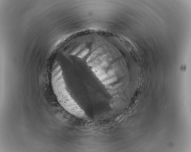 X0000091460776200709061756