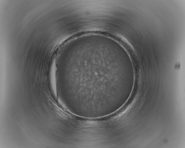 X0000091460777200709061756