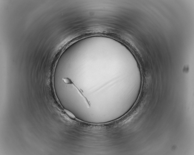 X0000091460778200709061755