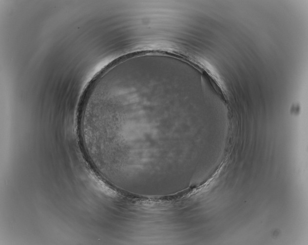 X0000091460780200709061755