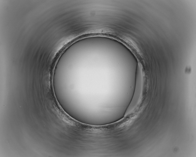 X0000091460781200709061755