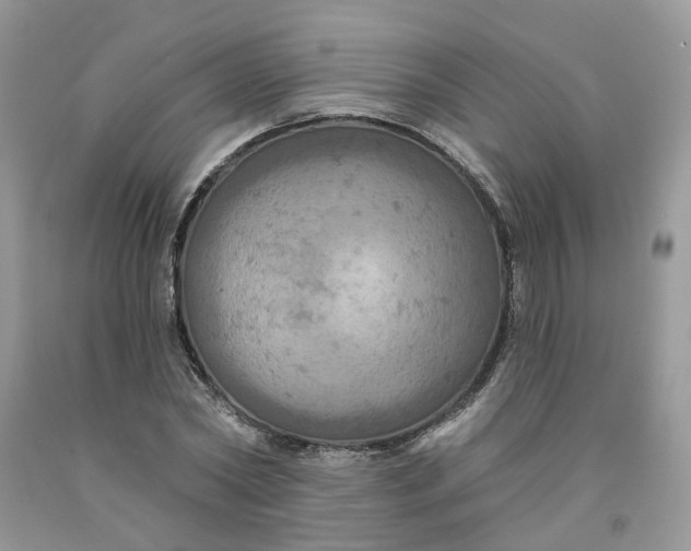 X0000091460782200709061755