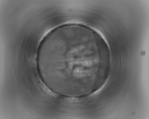 X0000091460783200709061755