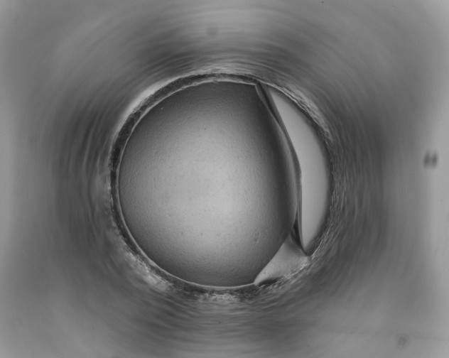 X0000091460784200709061755