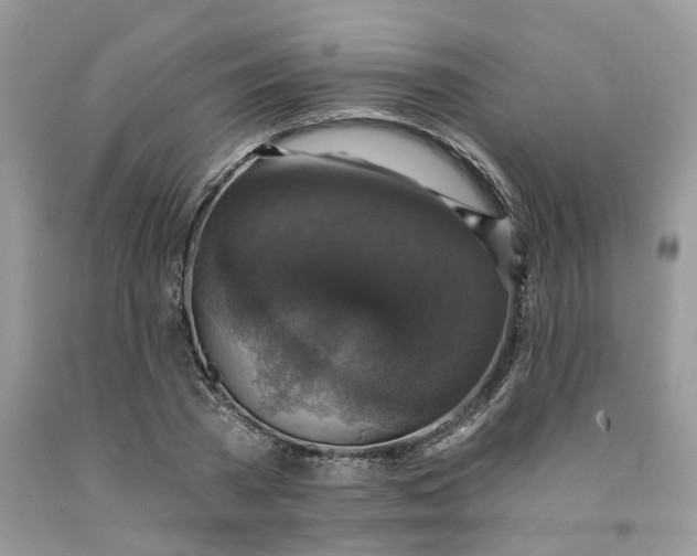 X0000091460785200709061755