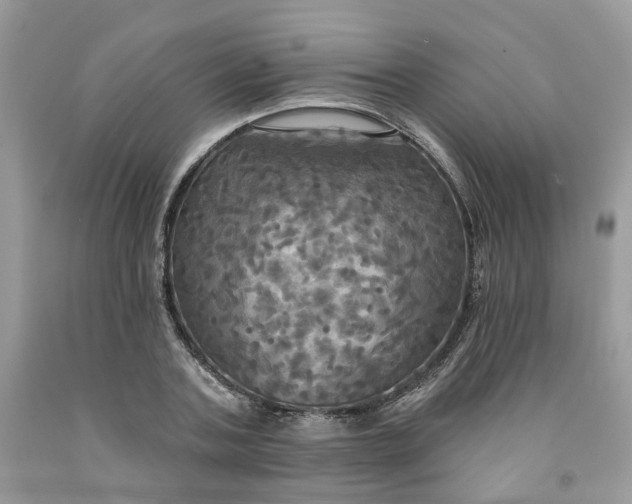 X0000091460787200709061755