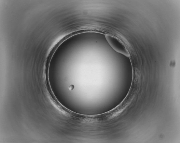 X0000091460788200709061755