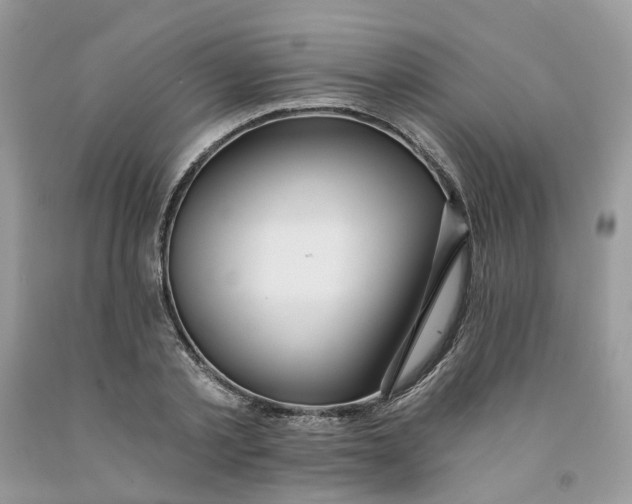 X0000091460789200709061755