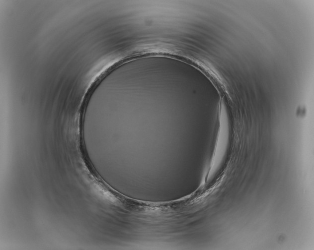 X0000091460790200709061755