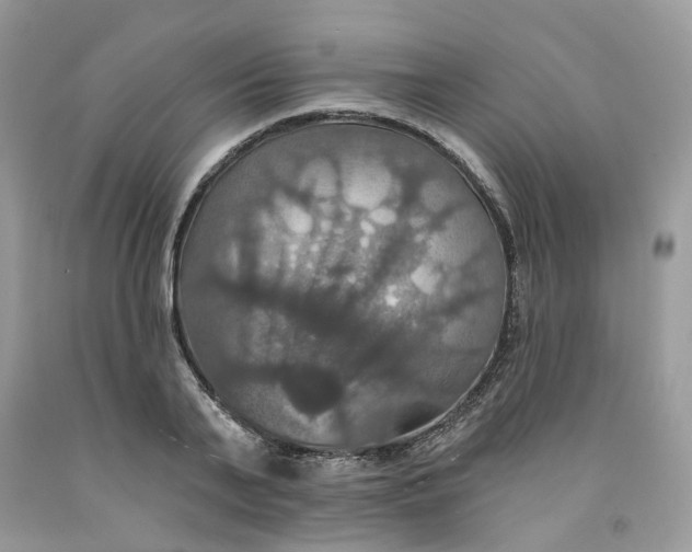 X0000091460791200709061755