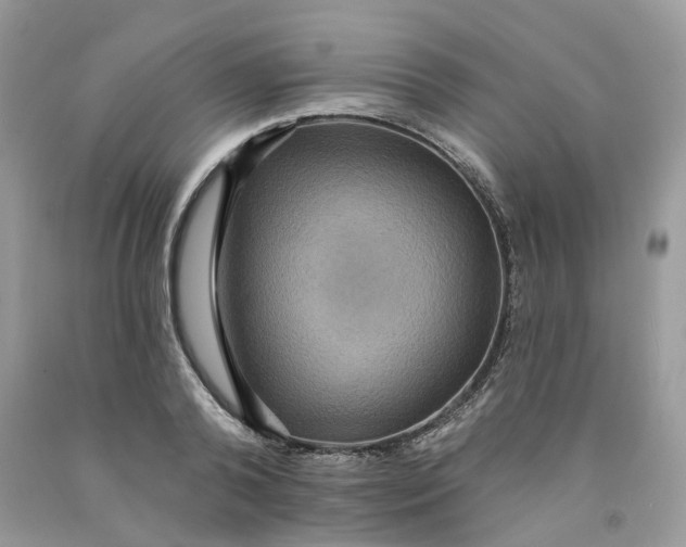 X0000091460792200709061755