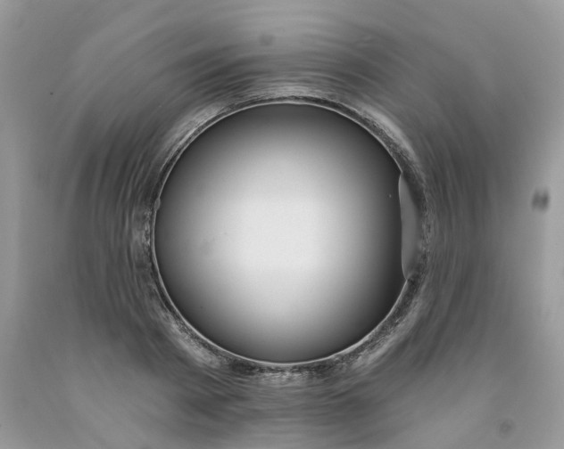 X0000091460793200709061755