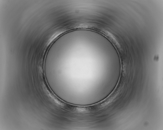 X0000091460794200709061755