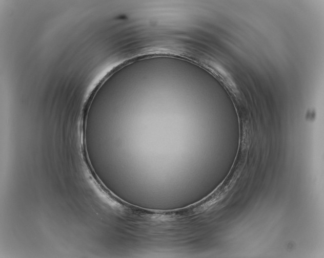 X0000091460796200709061755