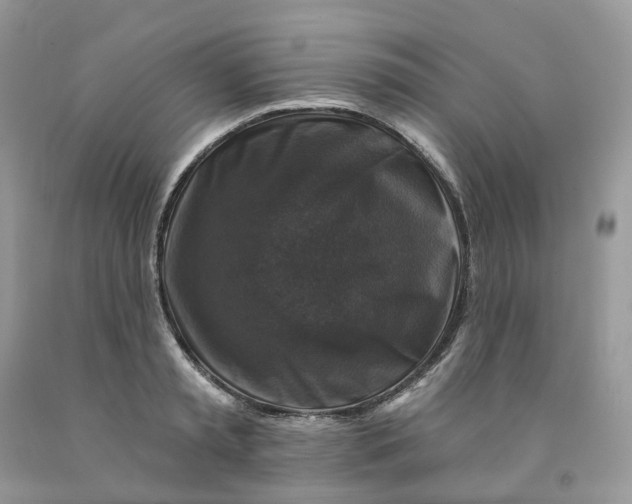 X0000091460797200709061755