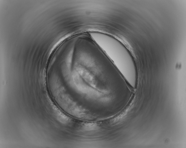 X0000091460798200709061755