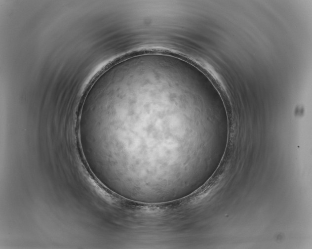 X0000091460799200709061755