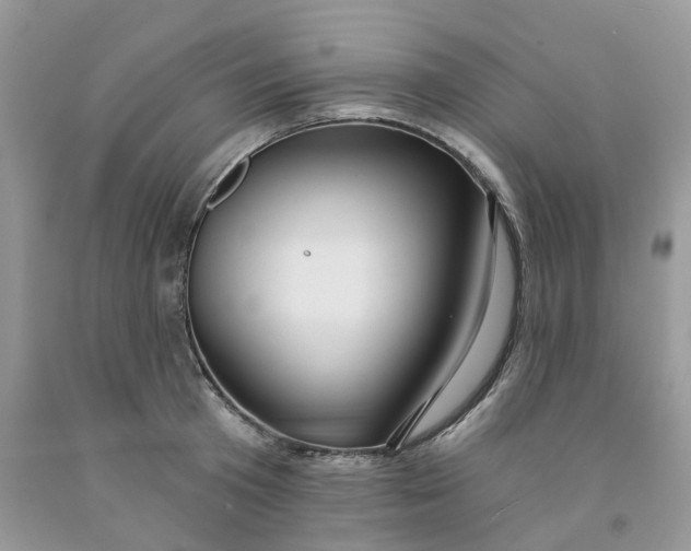 X0000091460801200709061755