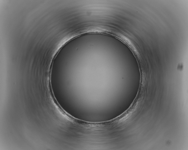 X0000091460802200709061755