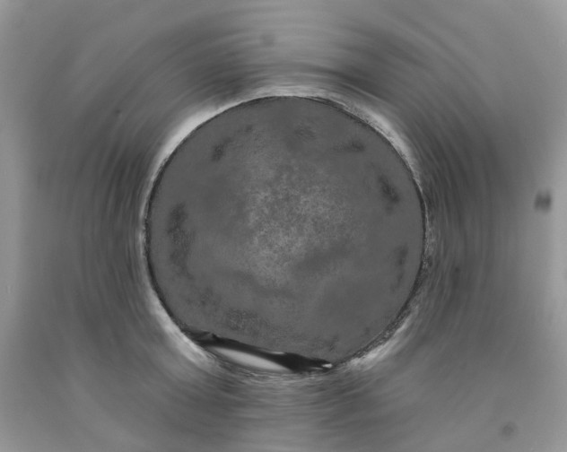 X0000091460803200709061755