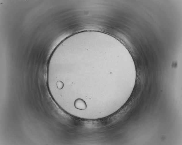 X0000091460804200709061755