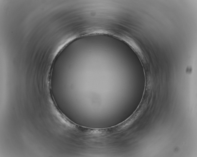 X0000091460806200709061755