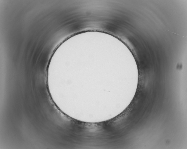 X0000091460807200709061755