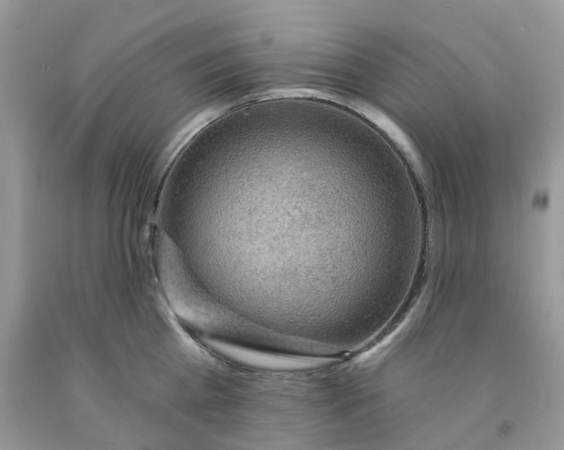 X0000091460809200709061755