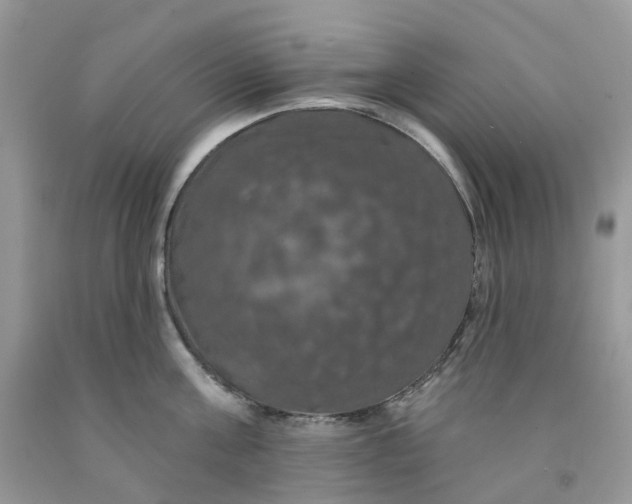 X0000091460811200709061755