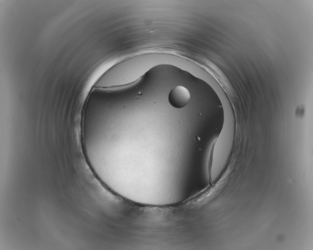 X0000091460812200709061755