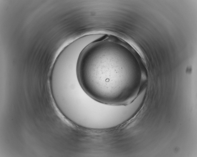 X0000091460813200709061755