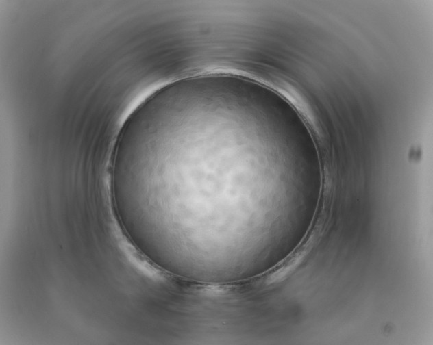 X0000091460814200709061755