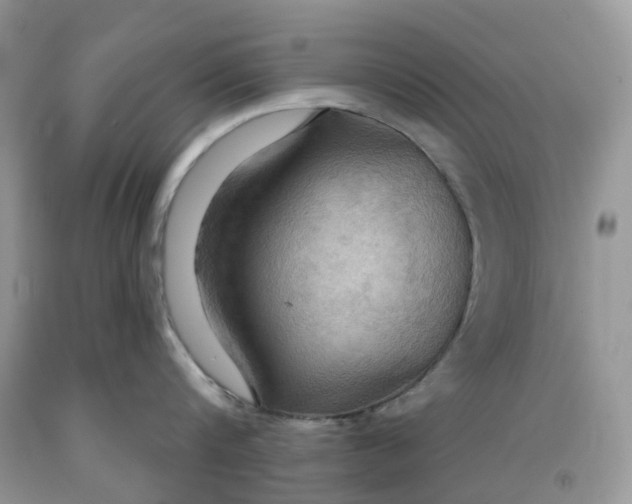 X0000091460816200709061755