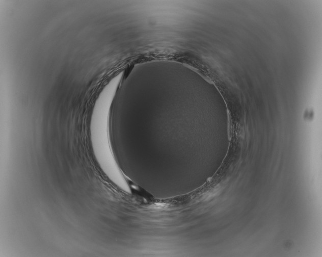 X0000091460818200709061754