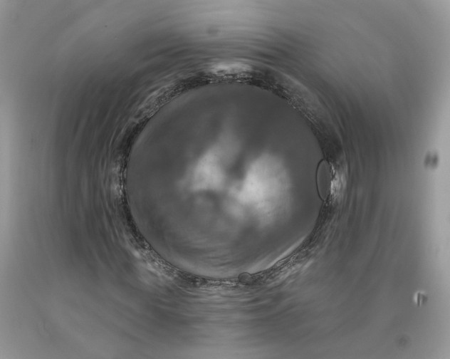 X0000091460819200709061754