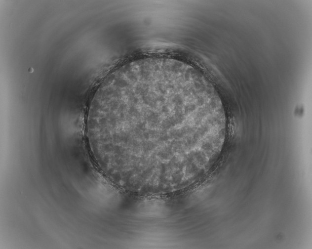 X0000091460820200709061754