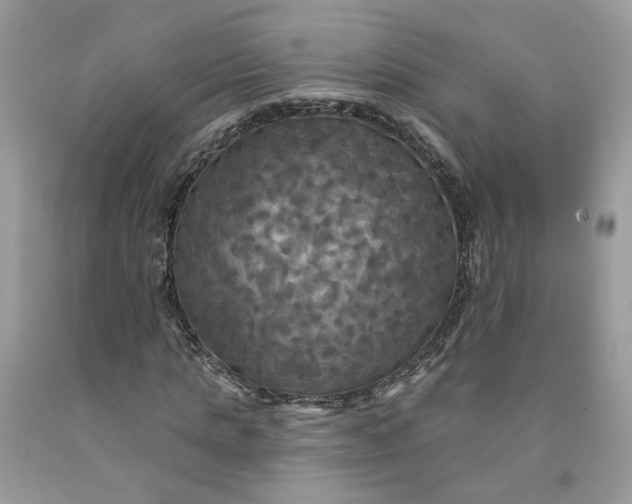 X0000091460821200709061754