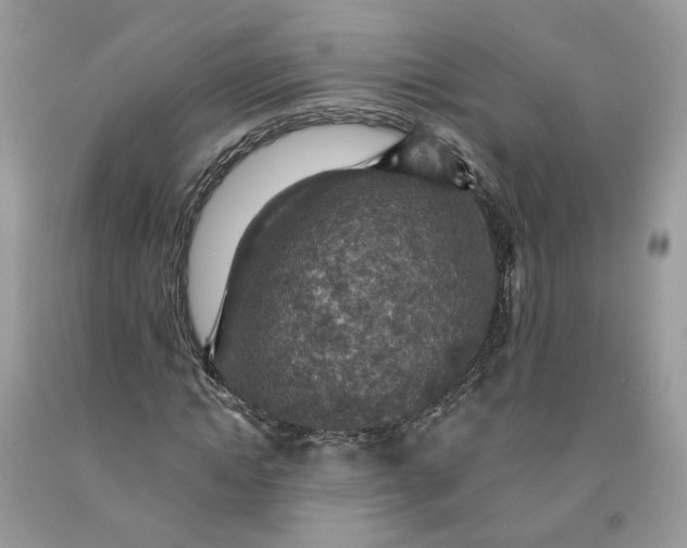 X0000091460822200709061754