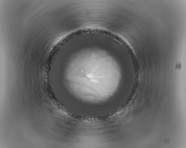 X0000091460823200709061754