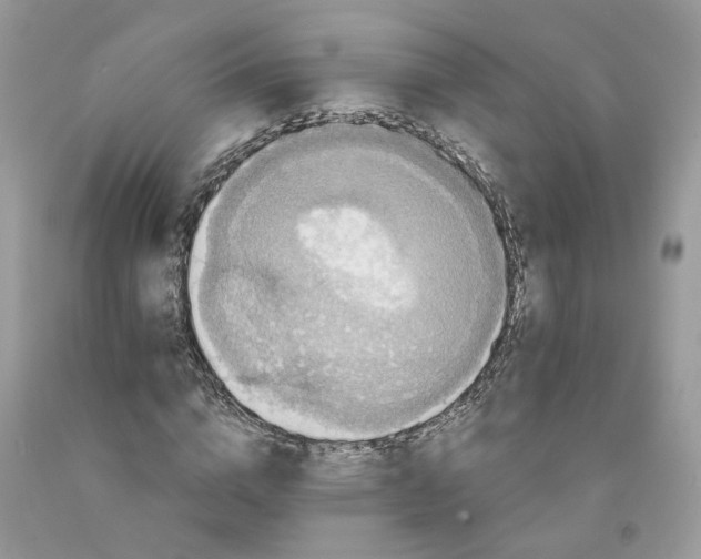 X0000091460824200709061755