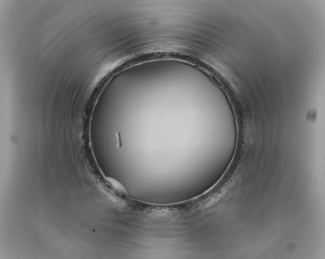 X0000091460826200709061755